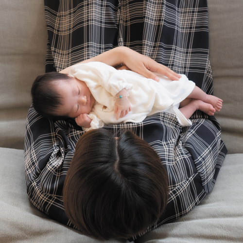 ポムリス 写真スタジオ